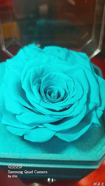 20211206_055439.JPG 20211206_055439.JPG