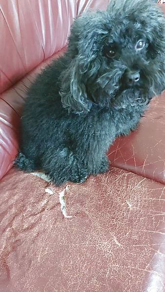 20220330_200834.JPG 20220330_200834.JPG