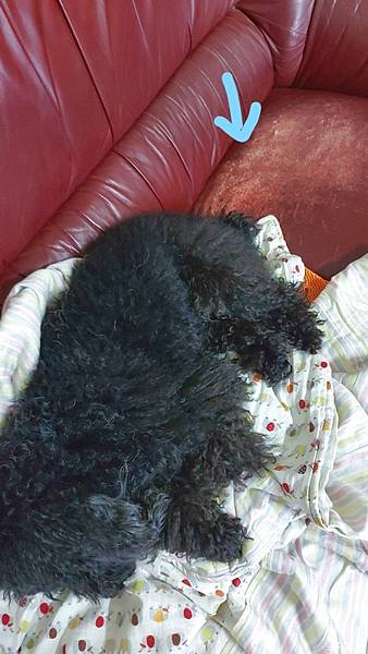 Inked20220330_200807_LI.jpg Inked20220330_200807_LI.jpg