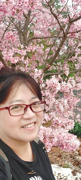 20220320_155022.JPG 20220320_155022.JPG