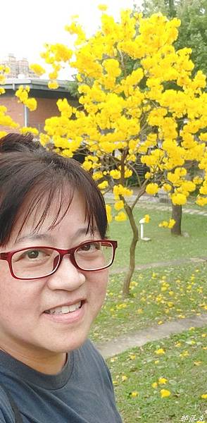 Marutai九州拉麵方便烹煮三分鐘就上桌，Costco必買