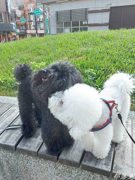 Kaniva卡咪哇寵物食品全齡犬-羊.鮪.米配方讓咕少吃得營