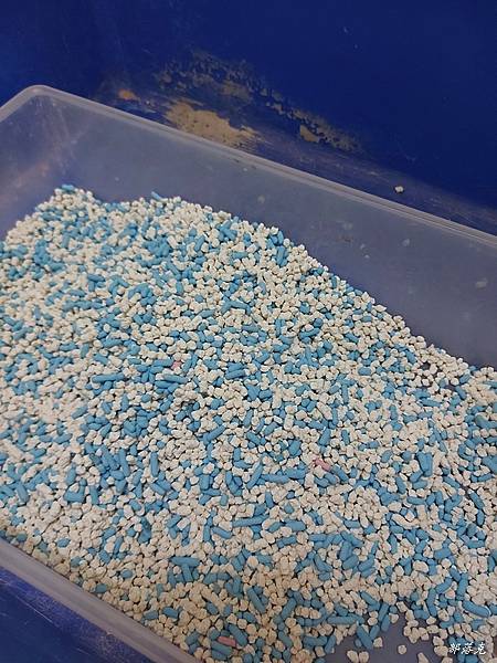 20230529_060455.jpg 20230529_060455.jpg