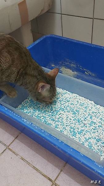 VideoCapture_20230529-160408.jpg VideoCapture_20230529-160408.jpg