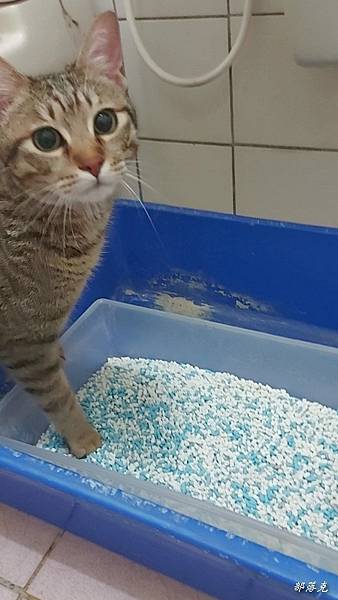 VideoCapture_20230529-160534.jpg VideoCapture_20230529-160534.jpg