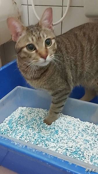 VideoCapture_20230529-160614.jpg VideoCapture_20230529-160614.jpg