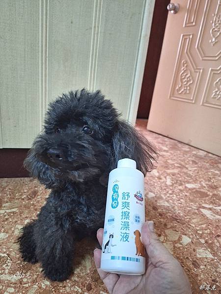 20230612_141753.jpg 20230612_141753.jpg