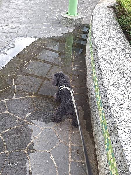 20230612_085156.jpg 20230612_085156.jpg