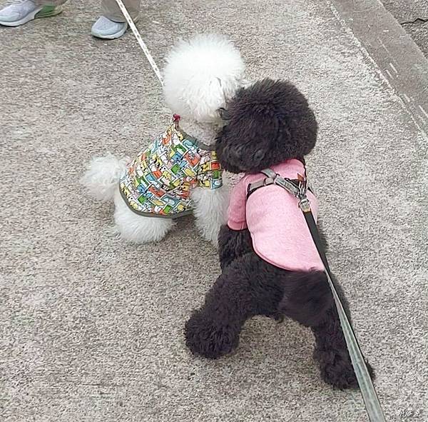 VideoCapture_20230105-190240.jpg VideoCapture_20230105-190240.jpg