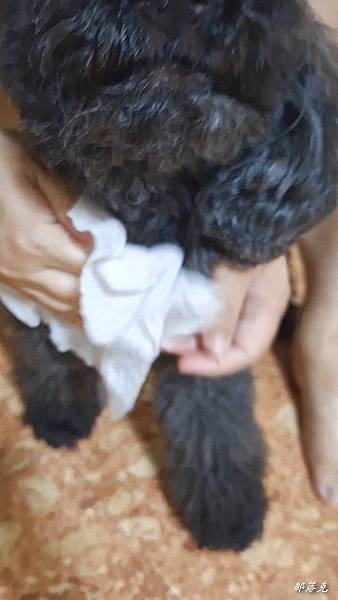 VideoCapture_20230612-222434.jpg VideoCapture_20230612-222434.jpg