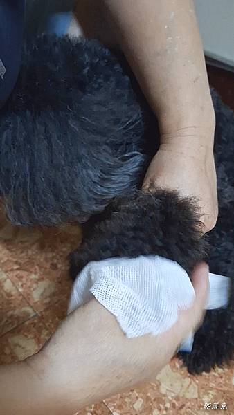 VideoCapture_20230612-222651.jpg VideoCapture_20230612-222651.jpg