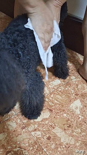 VideoCapture_20230612-222740.jpg VideoCapture_20230612-222740.jpg