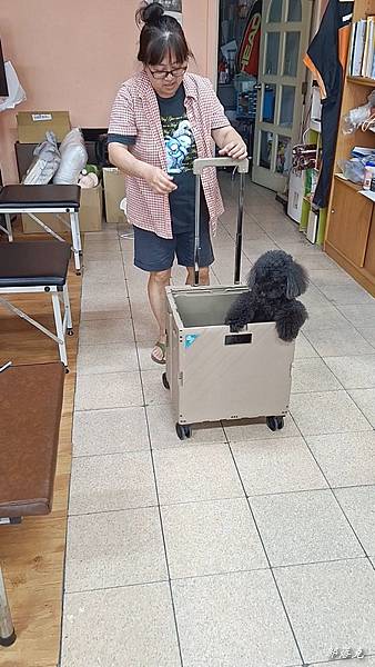 VideoCapture_20230614-163616.jpg