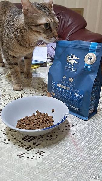 2023-07-11 22.59.28-4.jpg 2023-07-11 22.59.28-4.jpg