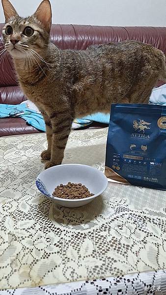 2023-07-11 23.00.18.jpg 2023-07-11 23.00.18.jpg