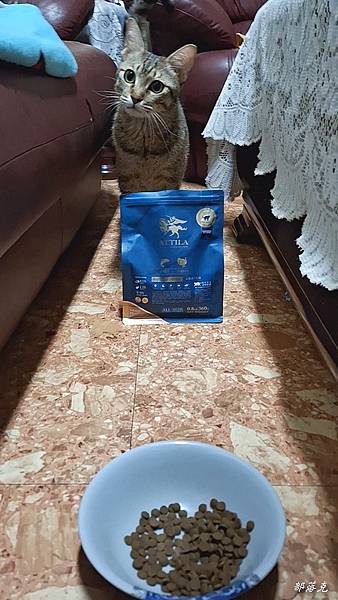 2023-07-11 22.59.28-3.jpg 2023-07-11 22.59.28-3.jpg