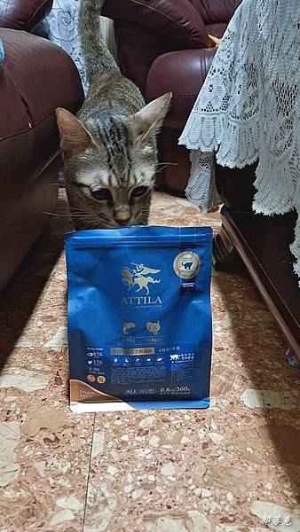 2023-07-11 22.59.28-2.jpg 2023-07-11 22.59.28-2.jpg