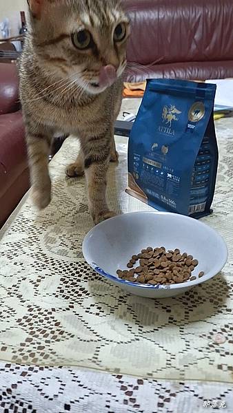 2023-07-11 22.58.22.jpg 2023-07-11 22.58.22.jpg