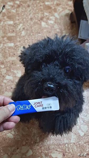 DR.ZOO寵兒保健事<關節守護>,讓狗仔活蹦亂跳不卡卡(專 DR.ZOO寵兒保健事<關節守護>,讓狗仔活蹦亂跳不卡卡(專