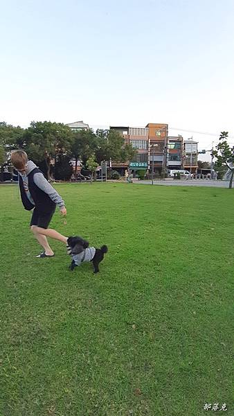 DR.ZOO寵兒保健事<關節守護>,讓狗仔活蹦亂跳不卡卡(專 DR.ZOO寵兒保健事<關節守護>,讓狗仔活蹦亂跳不卡卡(專