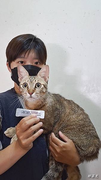 DR.ZOO寵兒保健事<舒FUN排毛>,讓貓兒溫和排毛,從此 DR.ZOO寵兒保健事<舒FUN排毛>,讓貓兒溫和排毛,從此