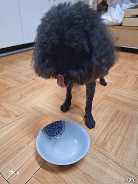 愛毛仕無添加寵物鮮食原型天然無負擔，為狗狗鮮食添加更多營養和