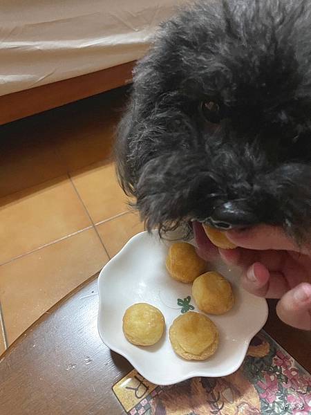 愛毛仕無添加寵物鮮食原型天然無負擔，為狗狗鮮食添加更多營養和