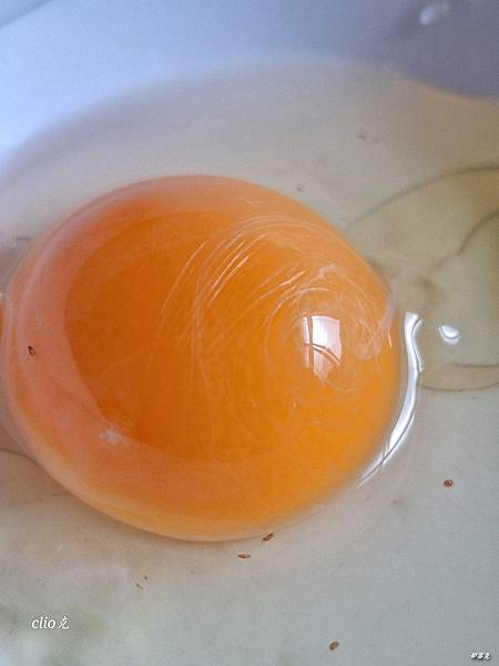 台灣農傳生技好農葉酸蛋~人道飼養健康優質好雞所產的雞蛋,含有 台灣農傳生技好農葉酸蛋~人道飼養健康優質好雞所產的雞蛋,含有