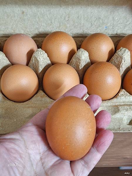 台灣農傳生技好農葉酸蛋~人道飼養健康優質好雞所產的雞蛋,含有 台灣農傳生技好農葉酸蛋~人道飼養健康優質好雞所產的雞蛋,含有