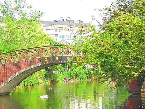 來 The畔cafe&dining 吃喝盡興,享美食賞美景聊 來 The畔cafe&dining 吃喝盡興,享美食賞美景聊