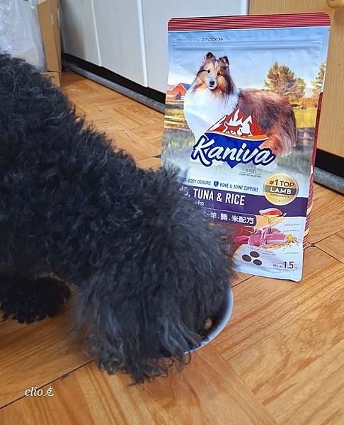 Kaniva卡咪哇寵物食品全齡犬-羊.鮪.米配方讓咕少吃得營