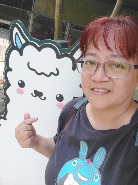 葉媽手工爆漿高麗菜捲讓一個人的餐桌也能豐盛味美（真材實料不含