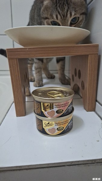 （貓咪開箱）Sheba®希寶鮮肉慕斯主食罐滿足貓咪味蕾（貓咪