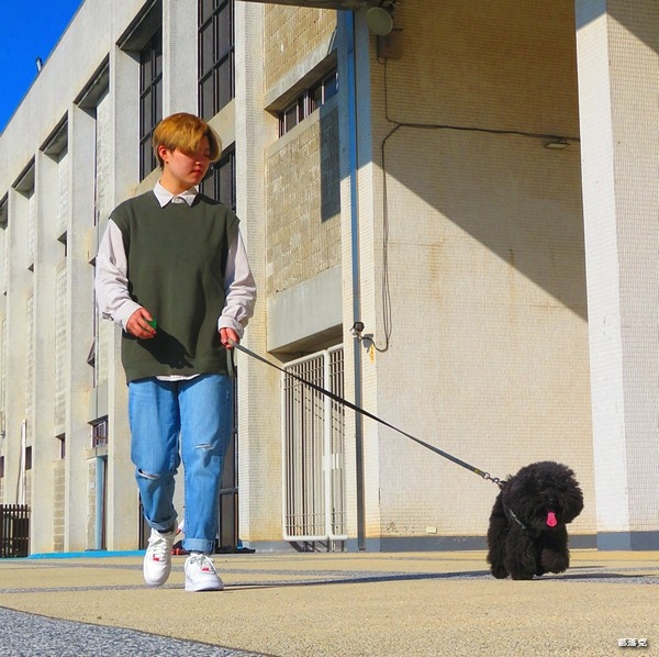 毛力士Maolex《汪品頂級系列》全新口味熱賣中,獨加定序 毛力士Maolex《汪品頂級系列》全新口味熱賣中,獨加定序