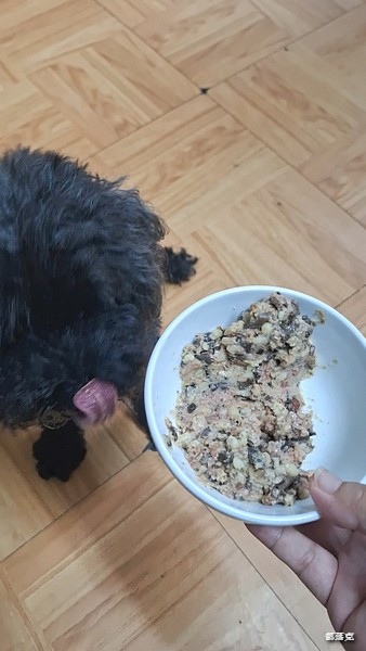 毛力士Maolex《汪品頂級系列》全新口味熱賣中,獨加定序 毛力士Maolex《汪品頂級系列》全新口味熱賣中,獨加定序