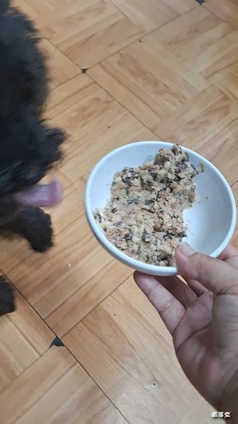 毛力士Maolex《汪品頂級系列》全新口味熱賣中,獨加定序 毛力士Maolex《汪品頂級系列》全新口味熱賣中,獨加定序