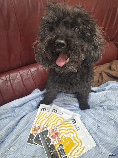 毛力士Maolex《汪品頂級系列》全新口味熱賣中,獨加定序 毛力士Maolex《汪品頂級系列》全新口味熱賣中,獨加定序