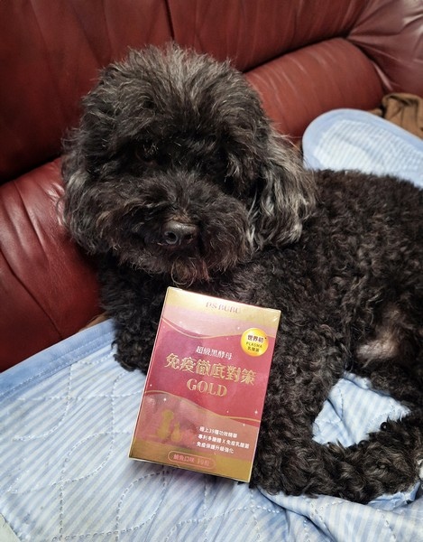PS BUBU 超級黑酵母GOLD 免疫徹底對策【獸醫師建議