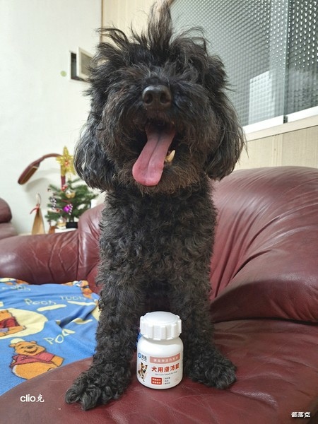 奧沛 OurPet 犬用膚沛錠,狗狗皮膚保健食品推薦! 奧沛 OurPet 犬用膚沛錠,狗狗皮膚保健食品推薦!