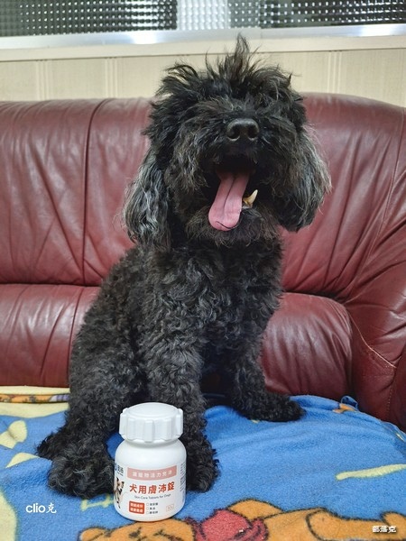 奧沛 OurPet 犬用膚沛錠,狗狗皮膚保健食品推薦! 奧沛 OurPet 犬用膚沛錠,狗狗皮膚保健食品推薦!