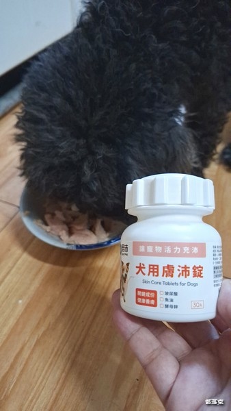 奧沛 OurPet 犬用膚沛錠,狗狗皮膚保健食品推薦! 奧沛 OurPet 犬用膚沛錠,狗狗皮膚保健食品推薦!