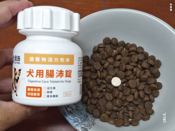 奧沛OurPet犬用腸沛錠,狗狗的腸胃保健食品推薦! 奧沛OurPet犬用腸沛錠,狗狗的腸胃保健食品推薦!