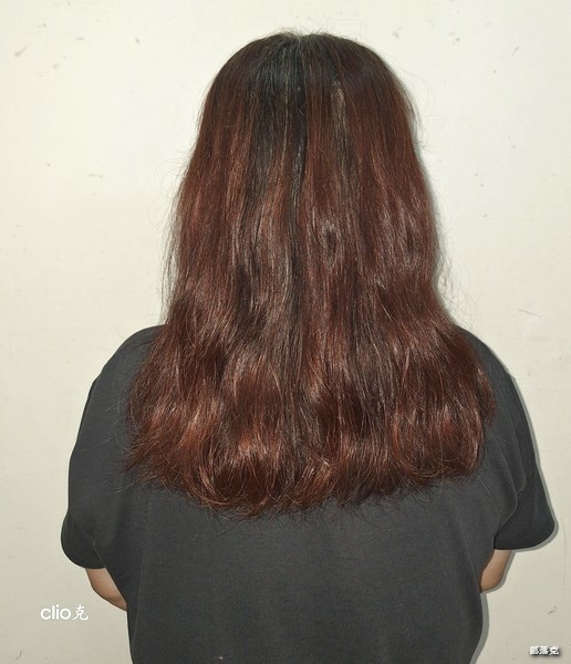 ESTH 恩絲泥萃淨養SPA洗髮精～六效合一打造美麗秀髮（好