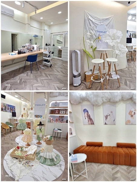 咕少拍出＂心＂高度，星期四吃紅蘿蔔寵物攝影，專業有看頭