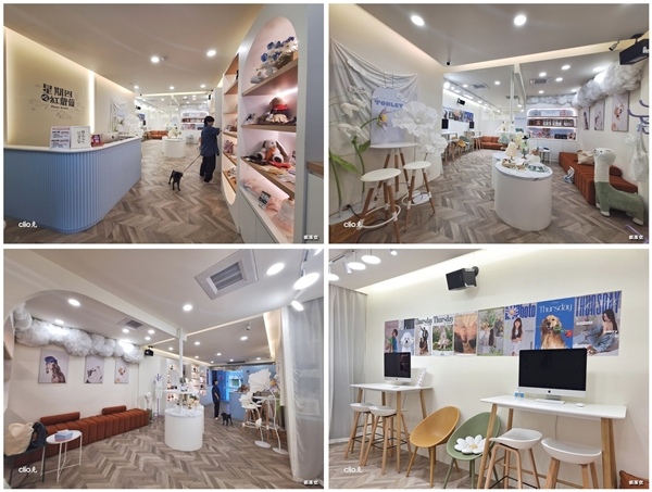 咕少拍出＂心＂高度，星期四吃紅蘿蔔寵物攝影，專業有看頭