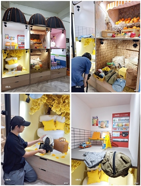 咕少拍出＂心＂高度，星期四吃紅蘿蔔寵物攝影，專業有看頭