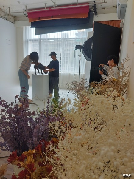 咕少拍出＂心＂高度，星期四吃紅蘿蔔寵物攝影，專業有看頭