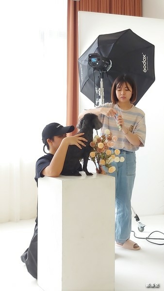 咕少拍出＂心＂高度，星期四吃紅蘿蔔寵物攝影，專業有看頭