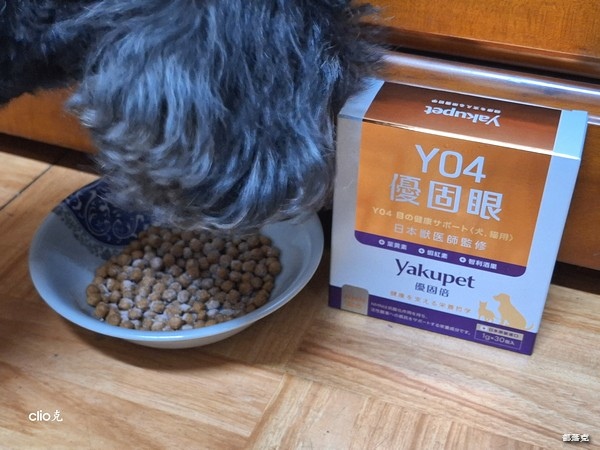 我們家13歲狗狗眼睛保養記錄【Yakupet優固倍Y04使用