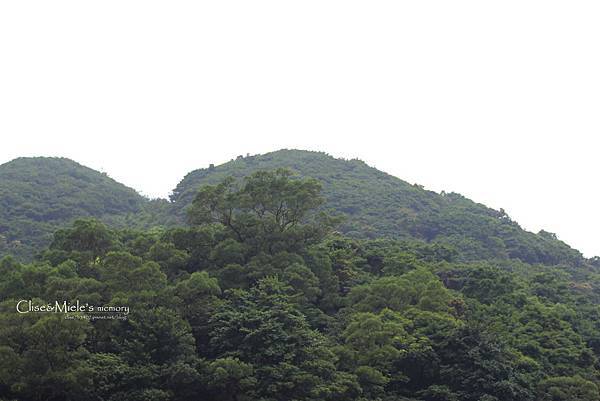 IMG_4848.JPG IMG_4848.JPG